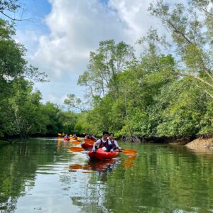 Sustainability in OUtdoor Learning1