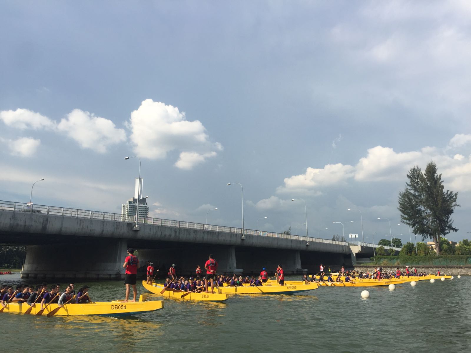 Dragon-Boat-Racing-WR1401