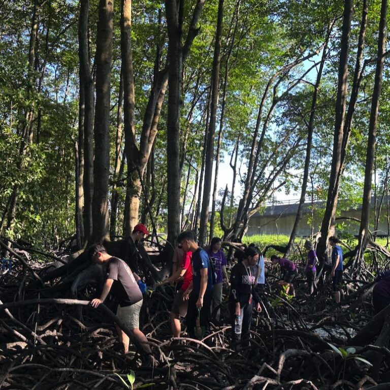 SFI-RVC2K-WM-1_2-768x768