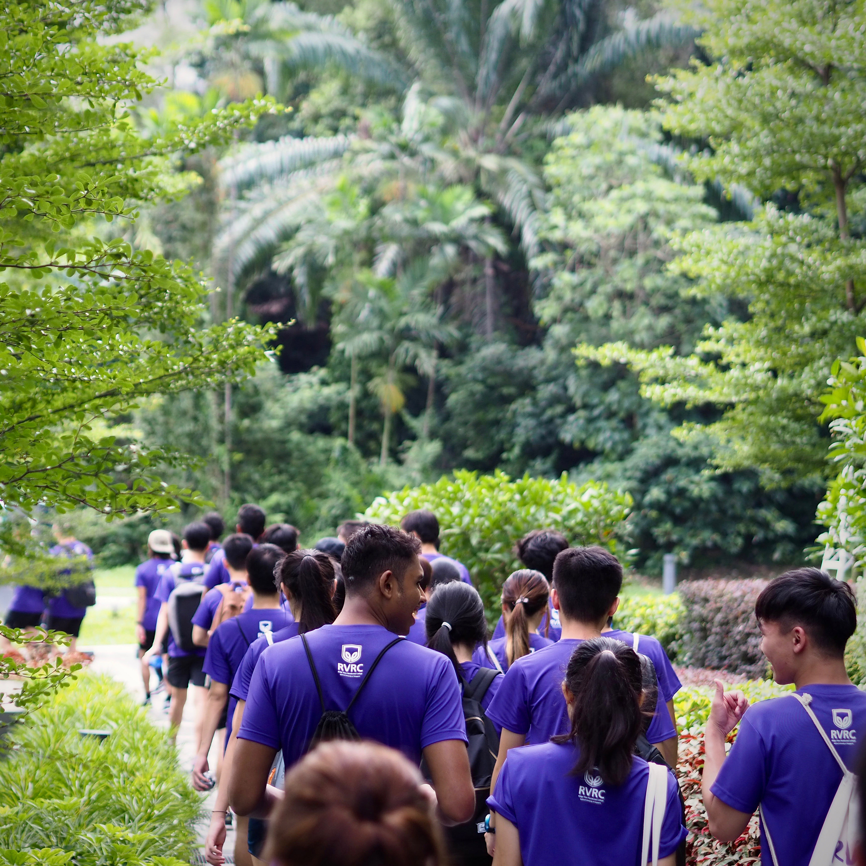 Walk-for-Rice-2018 1