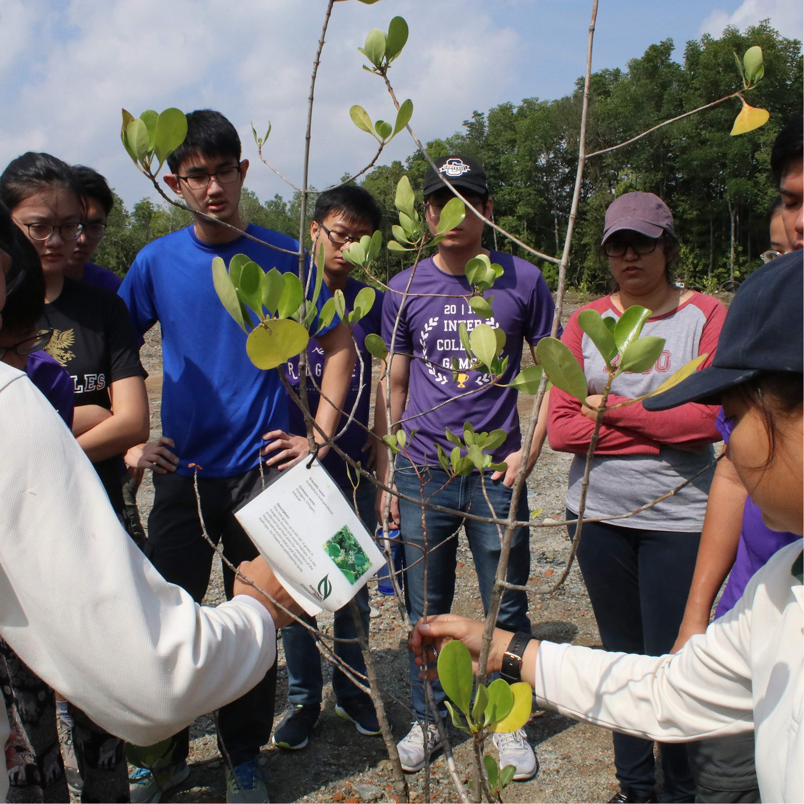 forum-conservation 1