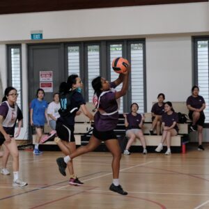 Netball-300x300