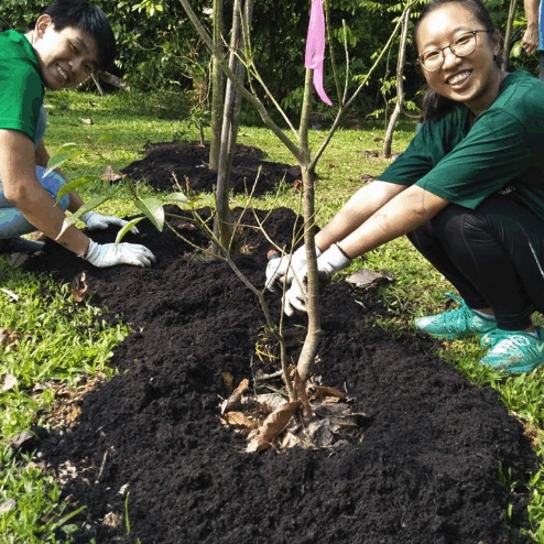 Outdoor-Local-Chestnut-Park