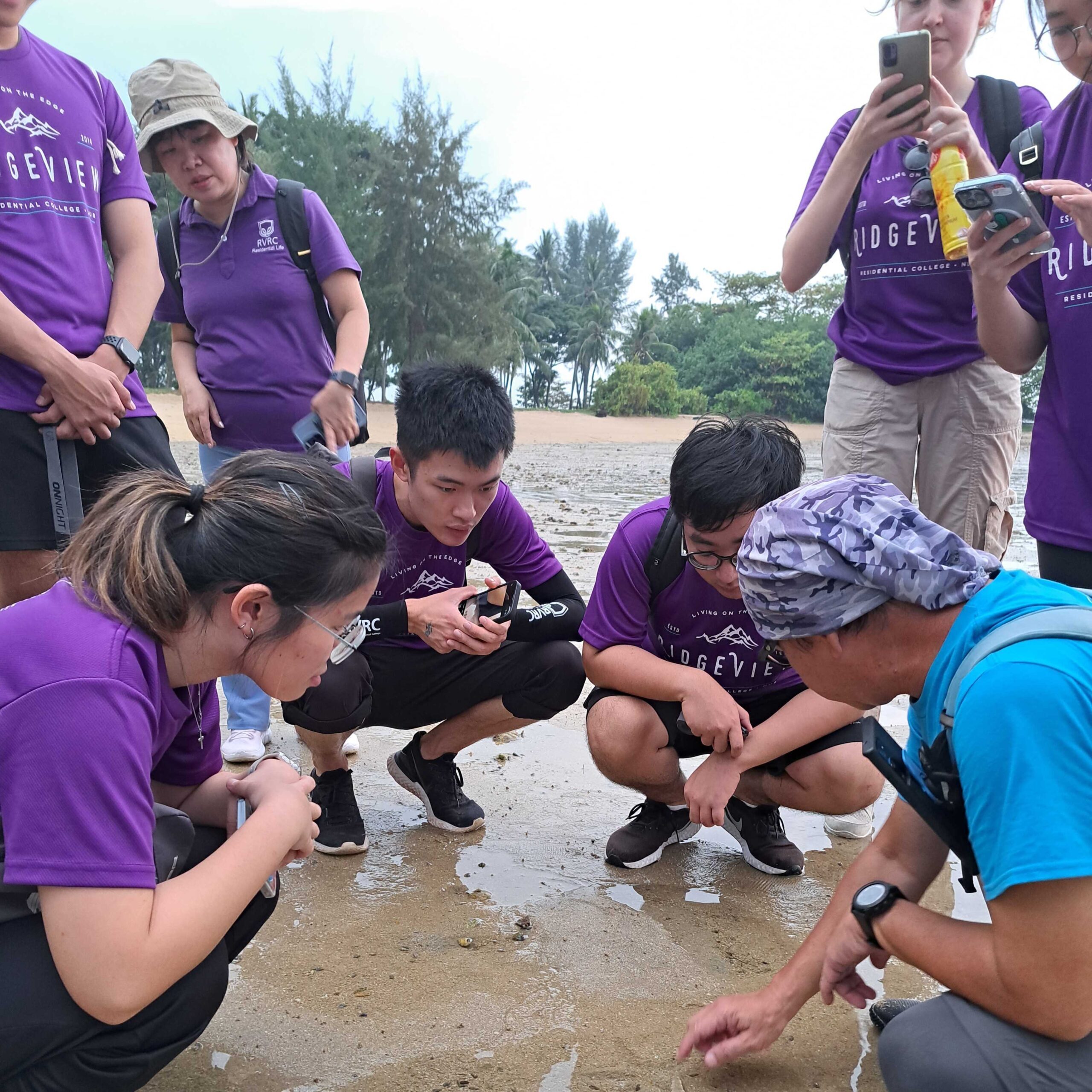 RV-Intertidal-Walk-Clean1-scaled