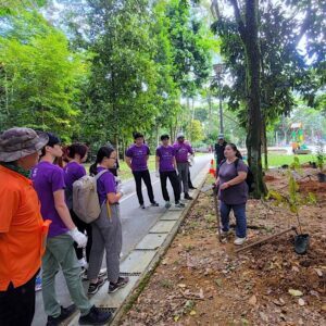 project-collab-300x300